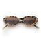 Sylvie / Choc Tort & Brown Lens